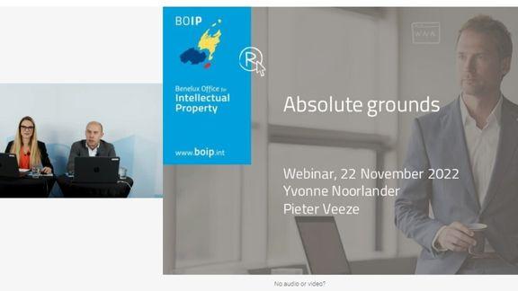 Printscreen webinar 'Absolute grounds'