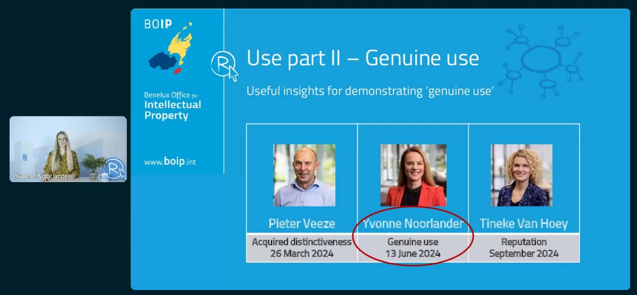 Webinar screenshot